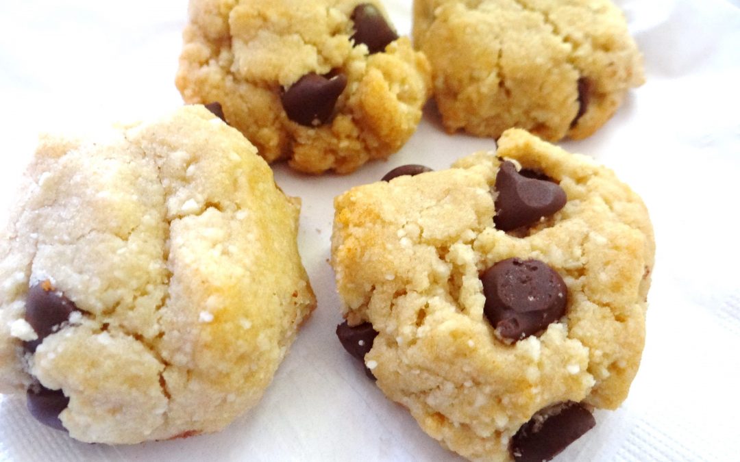 Nourishing Recipe-Gluten Free Paleo Cookies
