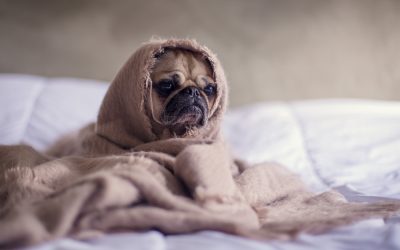 STRESS….and svt