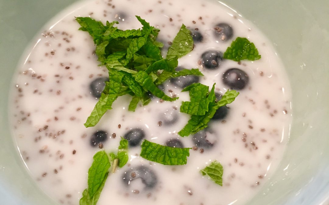 Blueberry Chia Yogurt with Fresh Mint!