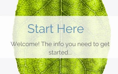 START Here…