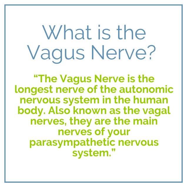 The Missing Link to Healing SVT: The Vagus Nerve