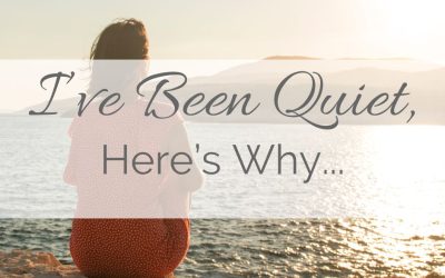 I’ve Been Quiet…Here’s Why